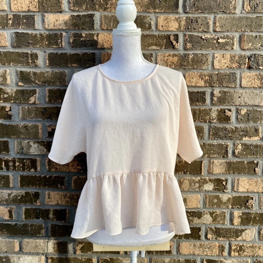Wilfred Aritzia Pale Pastel Sheer Top Shirt Size Small Pink Ruffle Oversize Flow